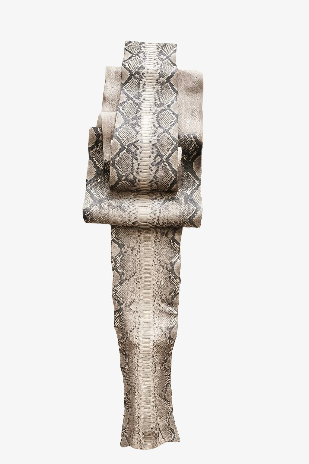 Elettra Real Python